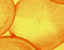 Citrusfruit9.gif