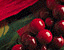 000802_c724_0064_cslst.gif