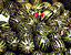 000802_c714_0088_cslst.gif