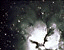 000802_c706_0050_cslst.gif