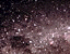 000802_c706_0035_cslst.gif