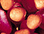 000802_c704_0040_cslst.gif