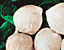 000802_c704_0037_cslst.gif