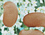 000802_c704_0036_cslst.gif