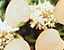 000802_c704_0033_cslst.gif