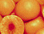 000802_c689_0098_cslst.gif
