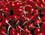 000802_c689_0077_cslst.gif