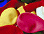 000802_c689_0065_cslst.gif