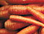 000802_c689_0061_cslst.gif