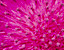 000802_c689_0040_cslst.gif