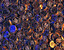 000802_c662_0083_cslst.gif