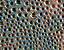 000802_c662_0030_cslst.gif