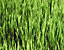 000802_c662_0028_cslst.gif