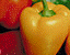 000802_c662_0021_cslst.gif