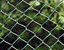 000802_c662_0002_cslst.gif