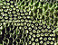 000802_c645_0085_cslst.gif