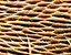 000802_c645_0082_cslst.gif