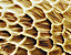 000802_c645_0081_cslst.gif