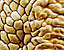 000802_c645_0076_cslst.gif