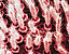 000802_c645_0070_cslst.gif