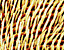 000802_c645_0069_cslst.gif