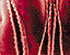 000802_c645_0019_cslst.gif