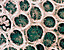 000802_c645_0015_cslst.gif