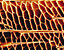000802_c645_0014_cslst.gif