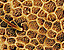 000802_c645_0012_cslst.gif