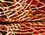 000802_c645_0007_cslst.gif