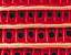 000802_c645_0004_cslst.gif
