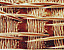 000802_c645_0001_cslst.gif