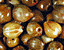 000802_c642_0007_cslst.gif
