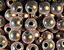 000802_c642_0004_cslst.gif