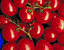 000802_c616_0080_cslst.gif