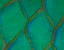 000802_c452_0089_cslst.gif