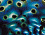 000802_c452_0062_cslst.gif