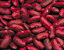 000802_c449_0097_cslst.gif