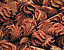 000802_c449_0090_cslst.gif