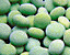 000802_c449_0082_cslst.gif