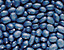 000802_c449_0025_cslst.gif