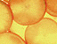 000802_c449_0002_cslst.gif