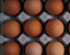 000802_c449_0000_cslst.gif