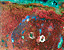 000802_c426_0034_cslst.gif