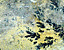 000802_c426_0032_cslst.gif