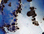 000802_c426_0027_cslst.gif