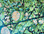 000802_c426_0024_cslst.gif