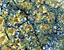 000802_c426_0017_cslst.gif