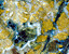 000802_c426_0016_cslst.gif