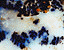 000802_c426_0014_cslst.gif